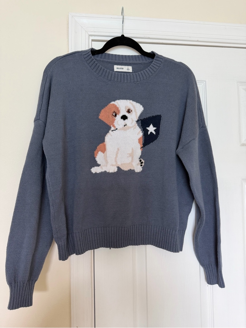 Puppy Crewneck Sweater